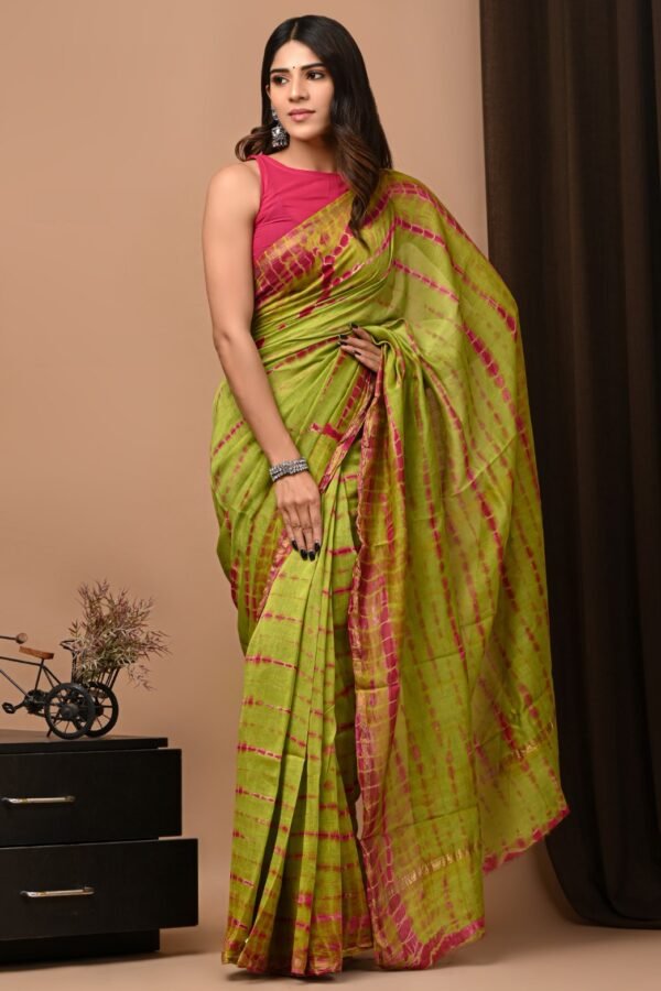 Woman draped in green Chanderi silk saree with pink Bagru hand block print stripe pattern
